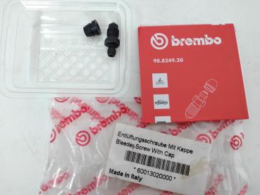 Entlüftungsschraube mit Kappe